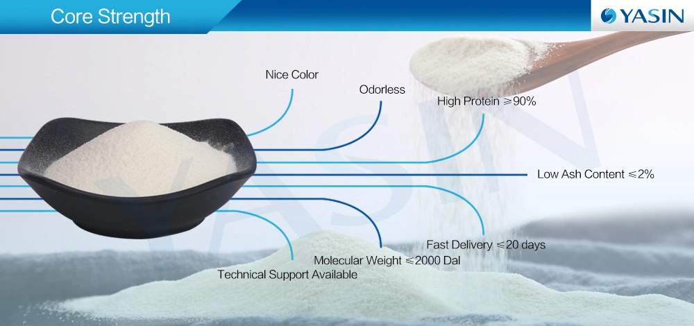 Animal Protein Collagen Hydrolyzed Collagen Powder