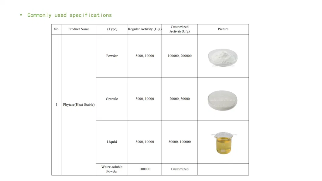 High-Temp Phytase/Animal Feed Additive/Enzyme