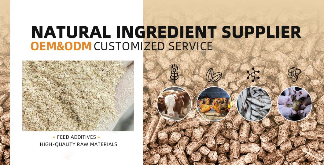 Protein Nourishing Rice Husk Powder for Animal Feed