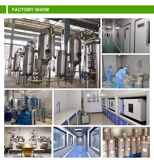 Comext 제조업체 식품 등급 공장 직접 소화 개선을 위한 말타아제 분말 효소